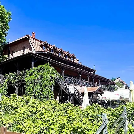 Gosciniec Rynski Mlyn 4*